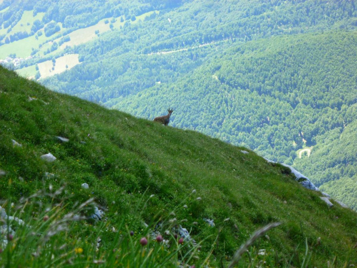Appartamento La Moraine Villard-de-Lans Esterno foto